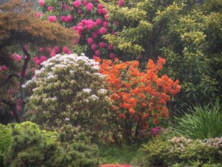 Shore-Acres-Botanical
